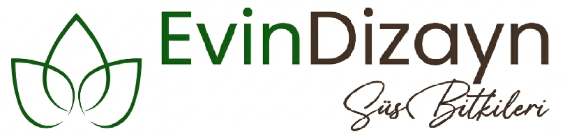 Evin Dizayn Dış Mekan Süs Bitkileri Yetiştiriciliği